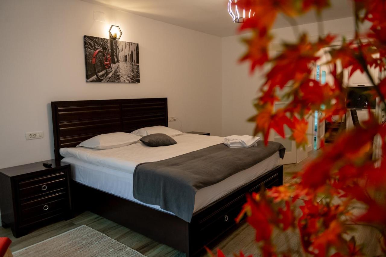 Old Town Suites 布拉索夫 外观 照片